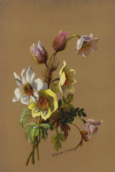 Raggio di sole e goccia di rugiada da Helga von Cramm